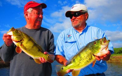 Delray Fishing Charters | Private 4 Hour Charter Trip